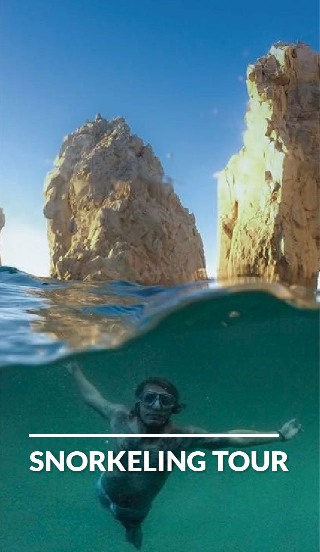 cabo snorkeling tour